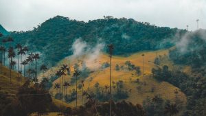 colombia